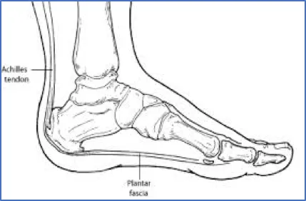 Why Does My Heel Hurt? Common Causes Explained