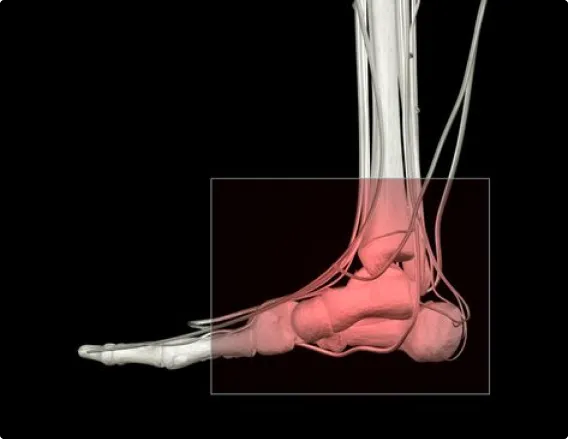 Common Foot Problems