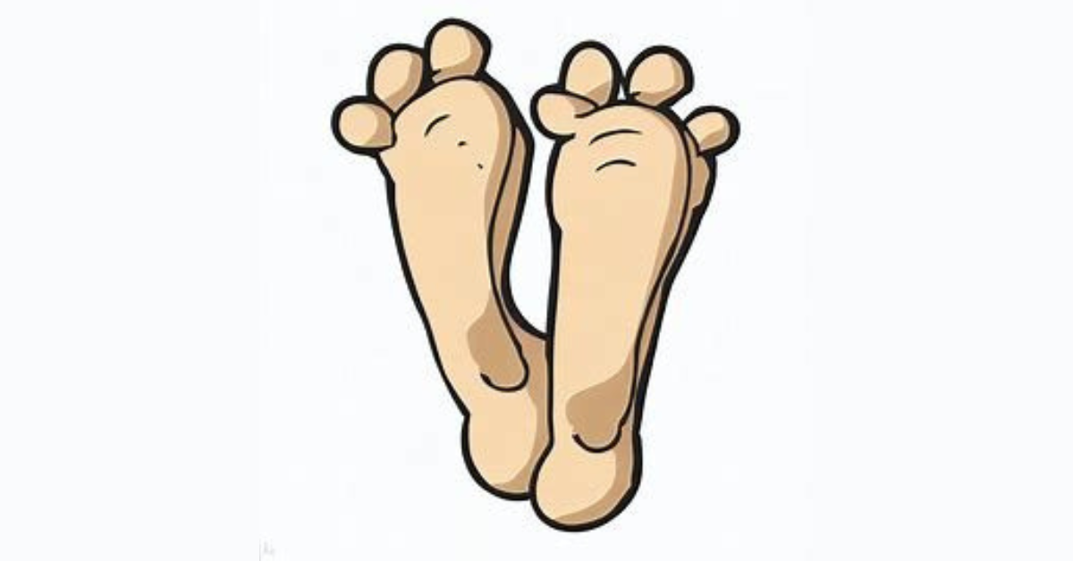 Unveiling the Wonders of Feet: Fascinating Foot Facts, Arch Mysteries, and Beyond