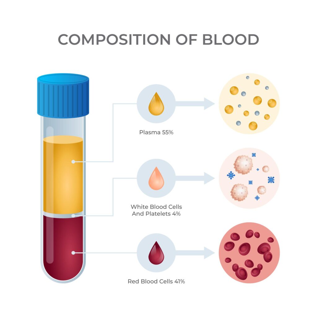 PRP treatment, foot and ankle, WeTreatFeet Podiatry, blood composition, plasma, white blood cells, platelets, red blood cells