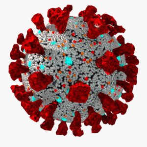 A detailed illustration of the SARS-CoV-2 virus, showcasing its key structural components.