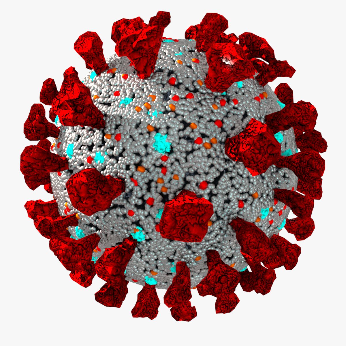 A detailed illustration of the SARS-CoV-2 virus, showcasing its key structural components.